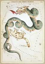 Dragon History