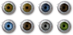 Cust pcr eyes