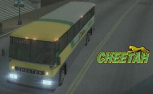 Cheetah