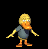 A duck