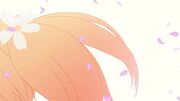 Sakura-Flower Clips