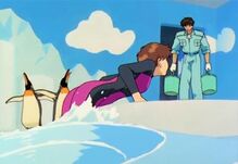 3 job-penguin-feeder