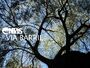 Via Barril (2017)
