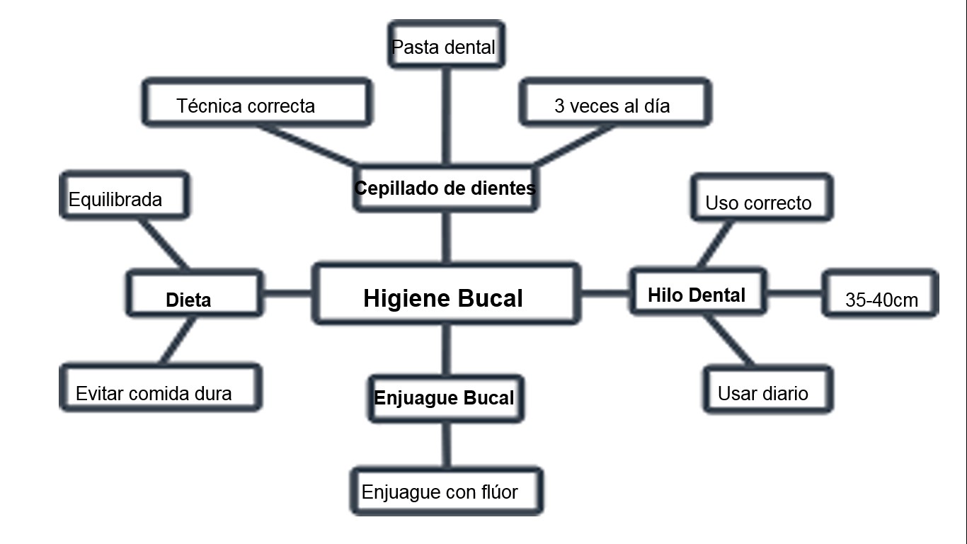 MAPA MENTAL Salud Bucal Wiki Fandom