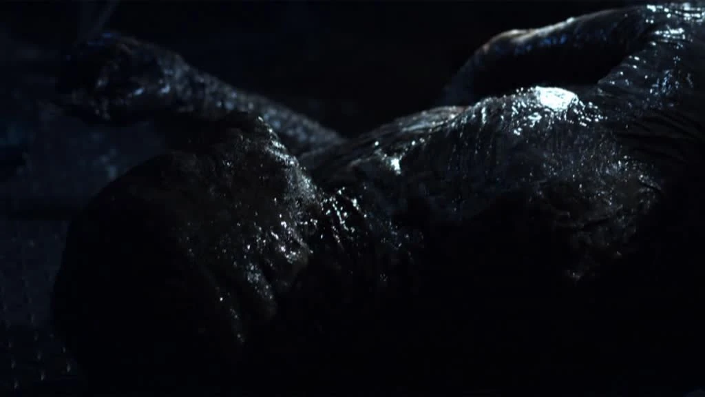 Magoi Sanctuary Wächter der Kreaturen Wiki FANDOM powered by Wikia