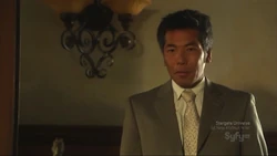 Sanctuary Network The Sanctuary Network Fandom