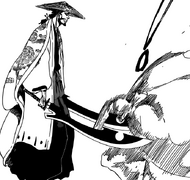 C497p11 Sternritter attacks Shunsui