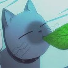 Bub Sankarea Wiki Fandom Bub Sankarea Wiki Fandom
