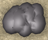 Wolf Hide