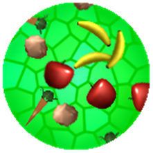 Chef