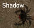 Shadow