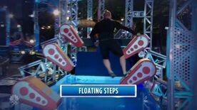 ANW8 Floating Steps