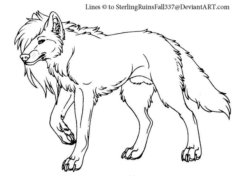 Image - Long-haired wolf.jpg | Satireknight Wiki | FANDOM powered by Wikia