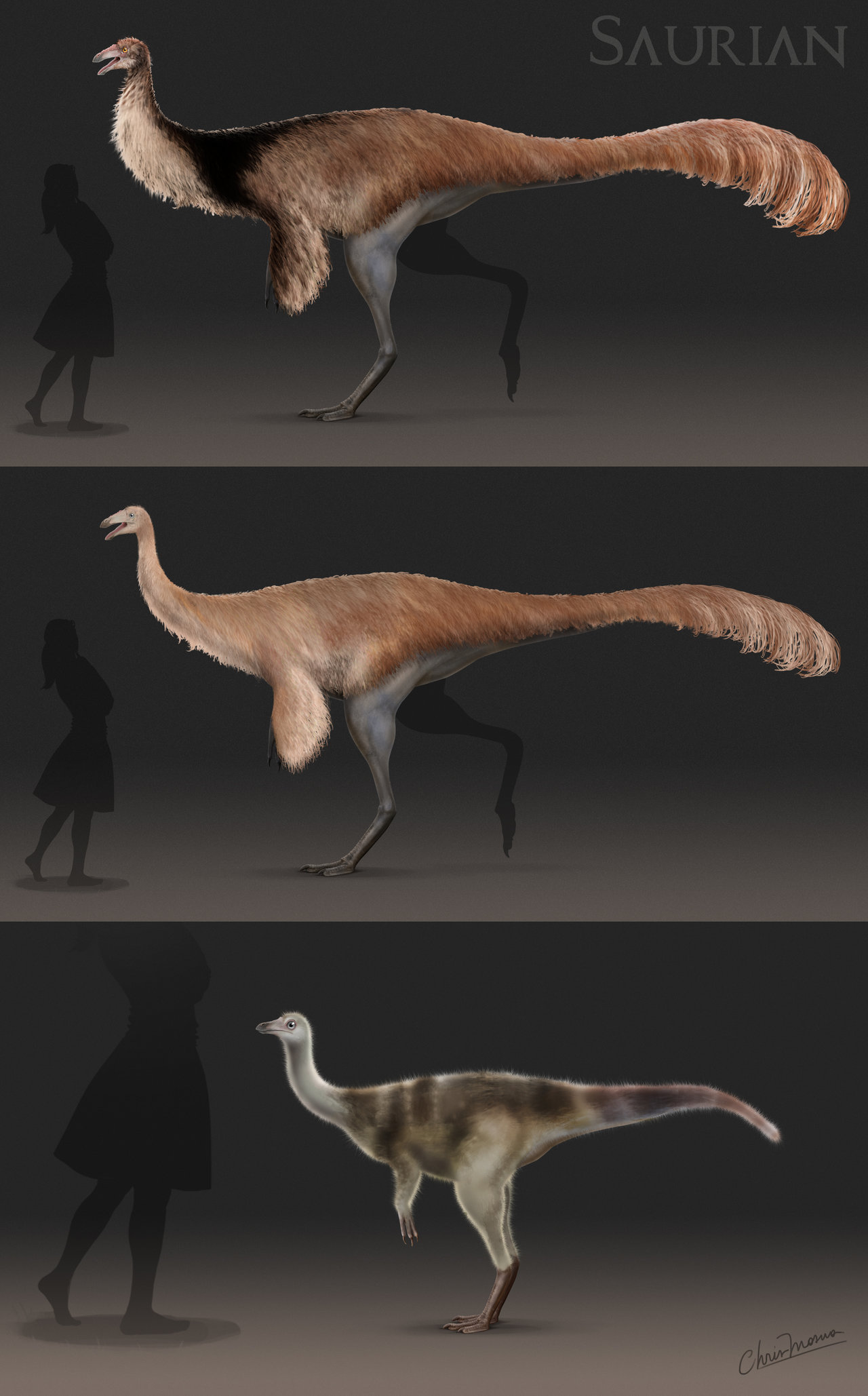 Hell Creek Ornithomimid | Saurian Wikia | FANDOM powered by Wikia