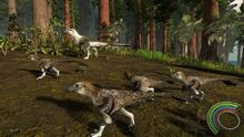 Dakotaraptor