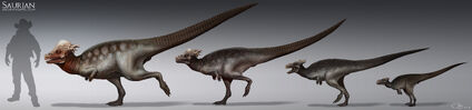 Rjpalmer pachycephalosaurus group 001