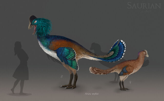 File:Anzu-both-02.jpg