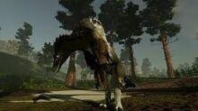 Images-0