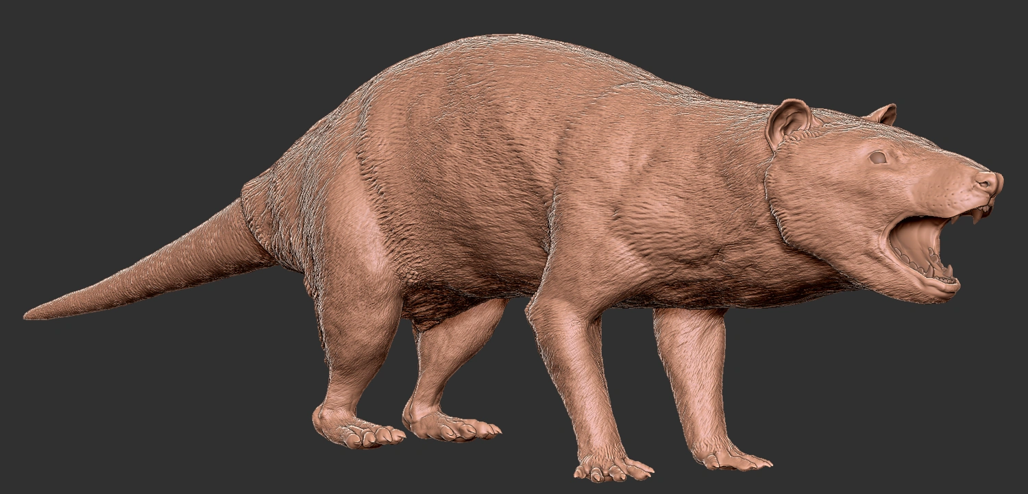 Didelphodon Saurian Wikia FANDOM powered by Wikia