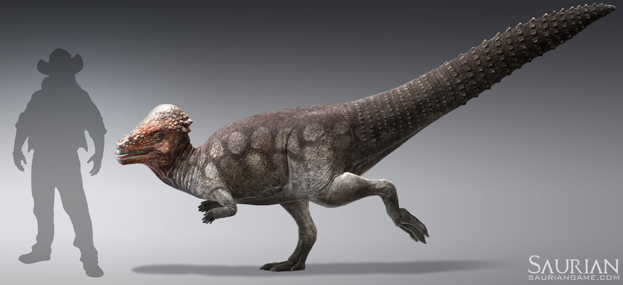 Pachycephalosaurus Saurian Wikia Fandom Powered By Wikia 2672