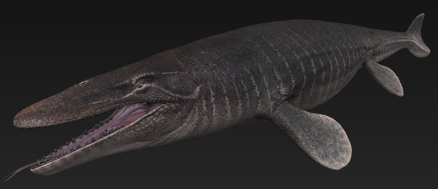 Mosasaurus Saurian Wikia Fandom Powered By Wikia 