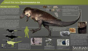 Trex infographic