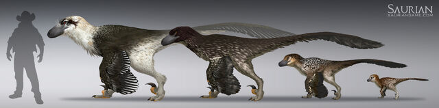 File:Dakotaraptor growth cycle.jpg