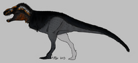 Trexdoclewko
