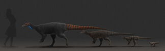 Thescelosaurus-ontogeny-all-1