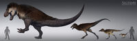 Rjpalmer trex ontogeny 005