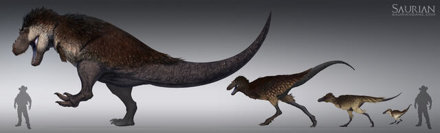 File:Rjpalmer trex ontogeny 005.jpg