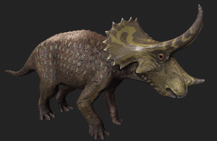 two horned triceratops