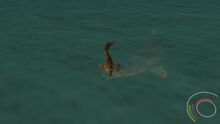 Mosasaurus