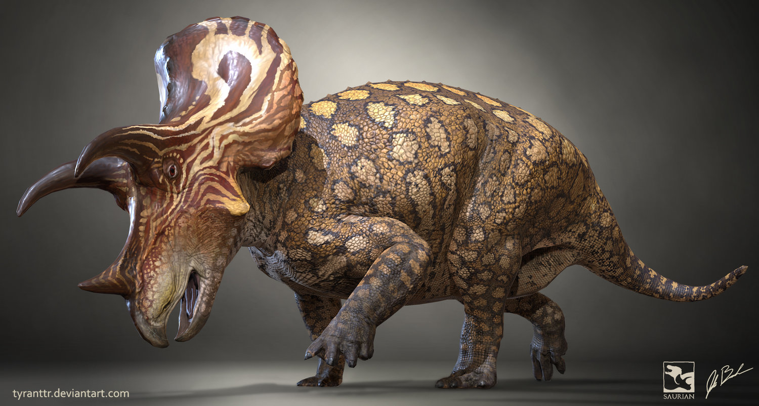 triceratops 33