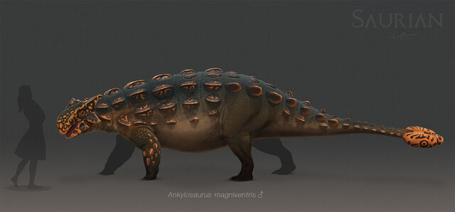 File:Ankylosaurus.jpg