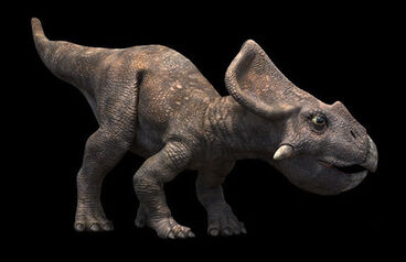 Protoceratops rg