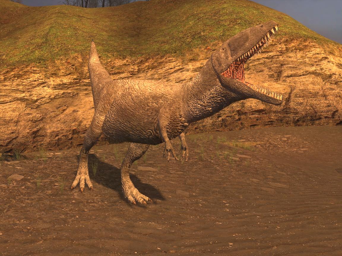 Carcharodontosaurus | Sauropedia Wiki | FANDOM powered by Wikia