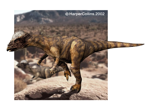 dome shaped head dinosaur