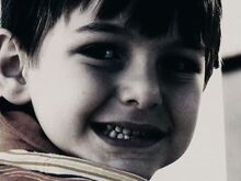 Dylan2