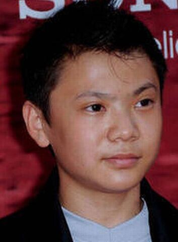 Чжэньвэй ван. Ван чжэньвэй 2023. Каратэ пацан чжэньвэй ван. Чжэньвэй ван чэн. Ван чжэньвэй.