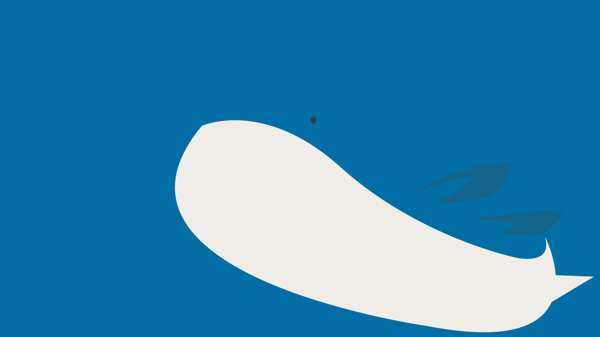 image wailord jpg sbf31 wiki fandom powered by wikia wailord size