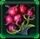 Icon perk naturalforager