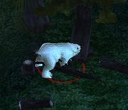 Pic frostbear