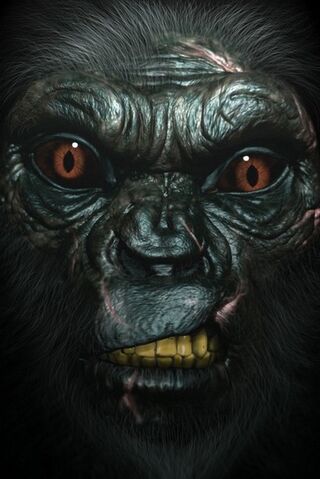 File:Neanderthal front.jpg