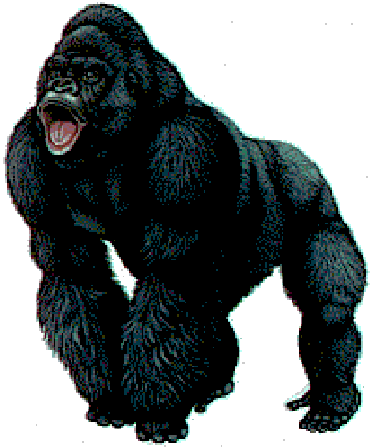 image ape pics 025