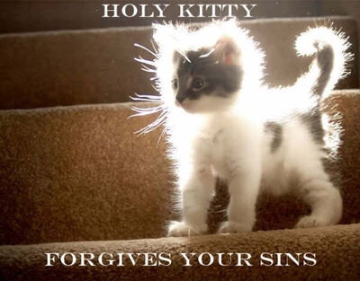 HolyKitten