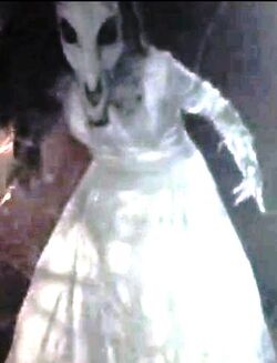 Geist