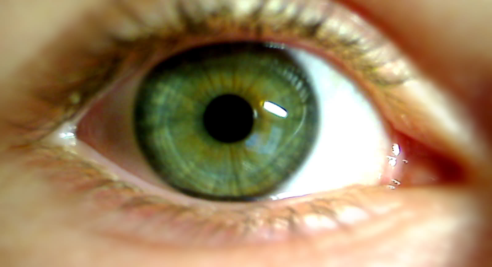 Grüne Augen ScaryWiki Fandom