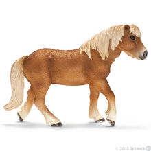 Icelandic Mare