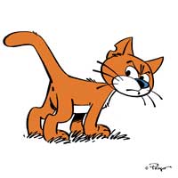 Schlümpfe Katze Schlümpfe Katze